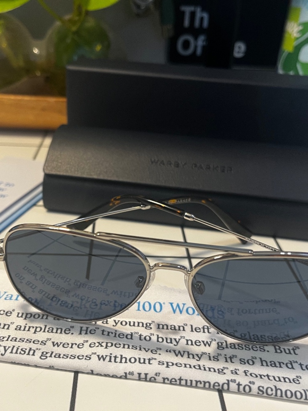 Warby Parker Raider in Polished Silver